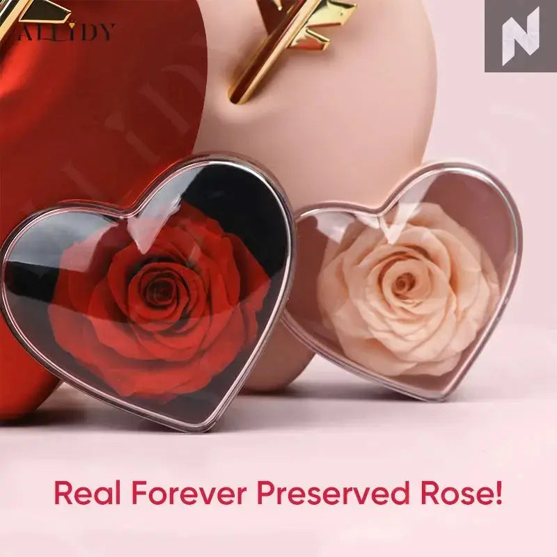 Romantic Heart-Piercing Rose Jewelry Box – A Timeless Valentine’s Keepsake Novo Style Jewelry Boxes