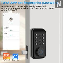 WiFi Smart Lock Pro with Keypad Touch Novo Style Door Knobs & Handles